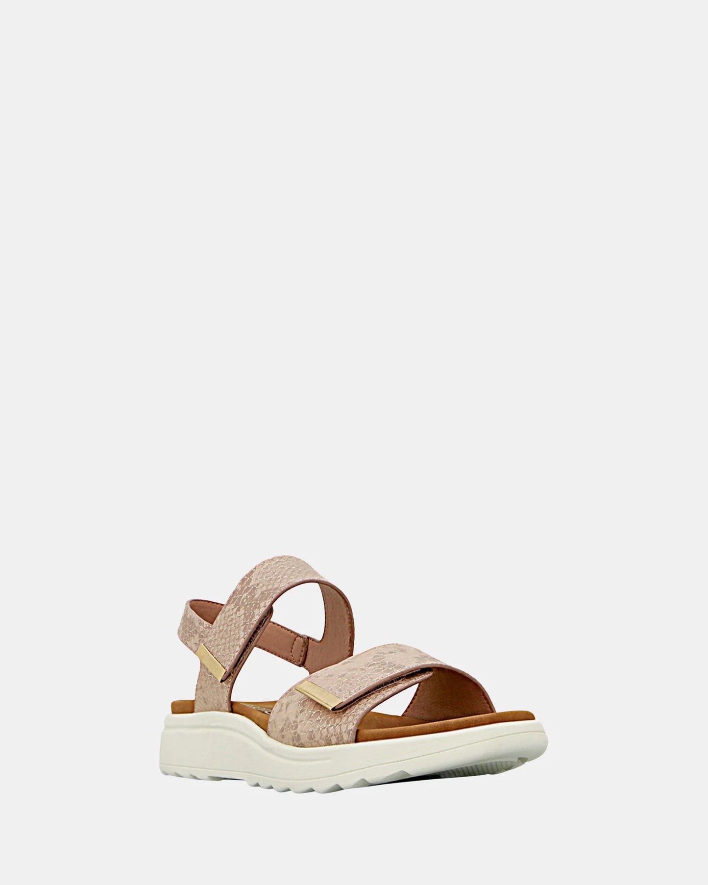 PANACHE PAULINE - SALMON